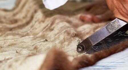 Rifacimento Pellicce